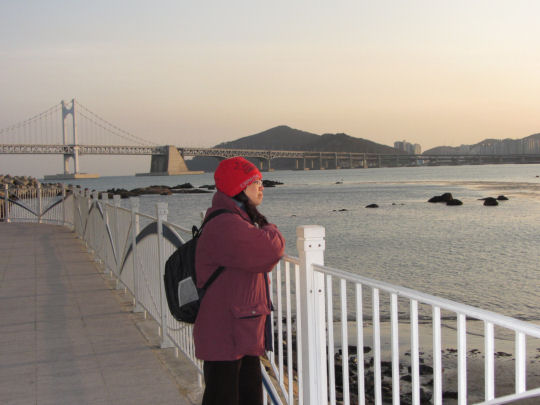 民樂洞海濱眺望釜山廣安大橋