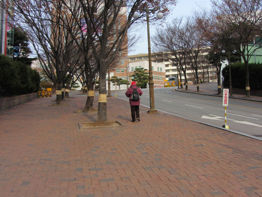 釜山慶星大學校園
