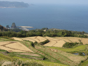 日本山口廣島秋天自助遊
